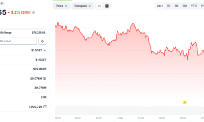 Bitcoin (BTC) Price Performance. Source: CoinGecko
