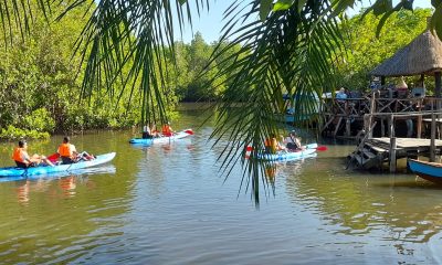 Hampshire travel company brings The Gambia into the classroom with educational school trips