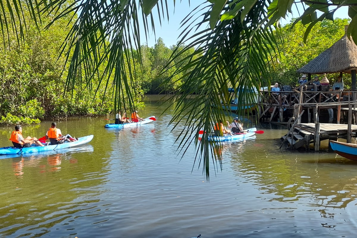 Hampshire travel company brings The Gambia into the classroom with educational school trips