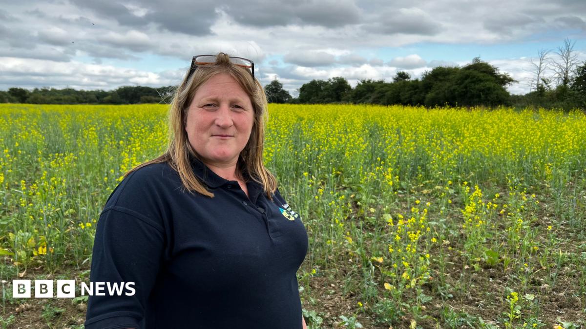 Farmer Debbie Wilkins is pictured standing in a field full of yellow flowers on a cloudy but sunny day. She has long blonde hair and a pair of sunglasses is perched on her head. She is wearing a navy blue polo shirt.