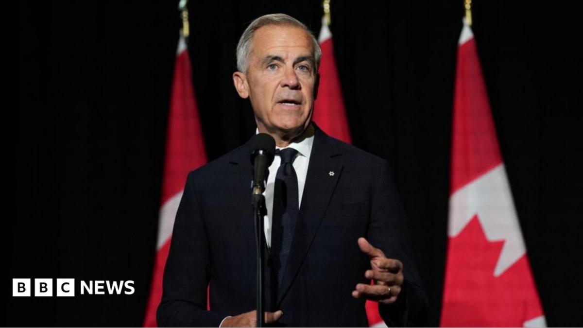 Mark Carney, in a black suit and tie gestures as he stands in front of a microphone. Behind him, against a dark background, are three red and white Canadian flags in a row.