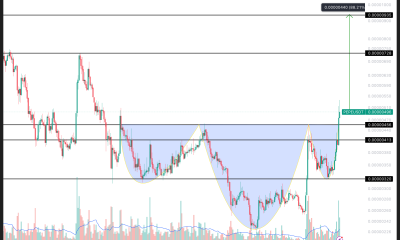 PEPE Price Performance. Source: TradingView