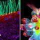 Split screen of a colourful tiny hair-like structures (L), and a colourful slug (R)