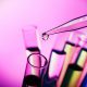 Viking Therapeutics Stock Skyrockets On Obesity Drug Data. Eli Lilly, Novo Fall.