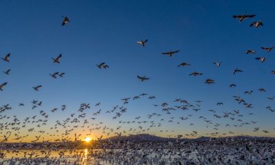 What a Record Hunting and Fishing Expansion Means for America’s Wildlife Refuges