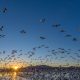 What a Record Hunting and Fishing Expansion Means for America’s Wildlife Refuges