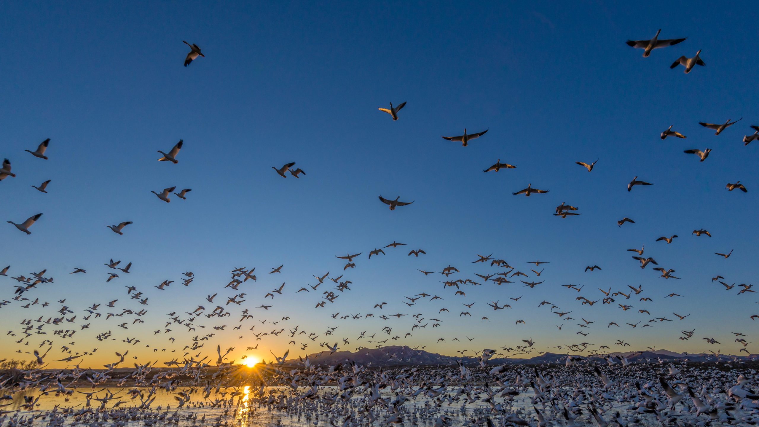 What a Record Hunting and Fishing Expansion Means for America’s Wildlife Refuges