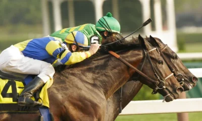 The St Leger turns 250. The partnership supporting racing must be protected