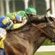 The St Leger turns 250. The partnership supporting racing must be protected