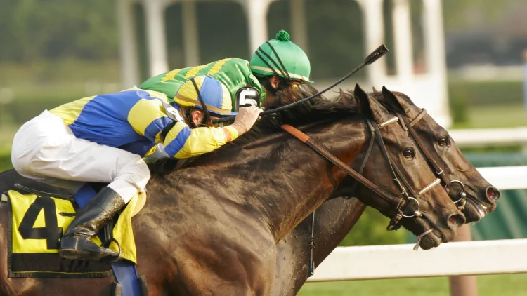 The St Leger turns 250. The partnership supporting racing must be protected