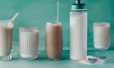 Better Pea Protein Starts at the Processing Step