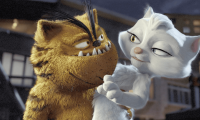 Raunchy Animated Animal Adventure Is Garfield Gone Horribly Wrong 