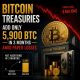Crypto Breaking News