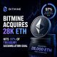 Crypto Breaking News