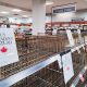 'Buy Canadian': Meet the Consumers Boycotting American Products as Trade Rift Widens