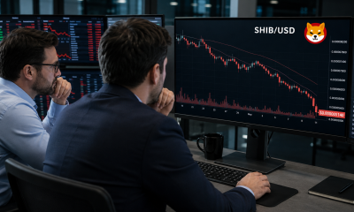 Shiba Inu holds above key support as whale selling raises downside risk
