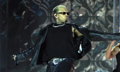 Chris Brown lawsuit busy court The R&B Tour Maria Avila $13 million settlement court filing housekeeper dog bite