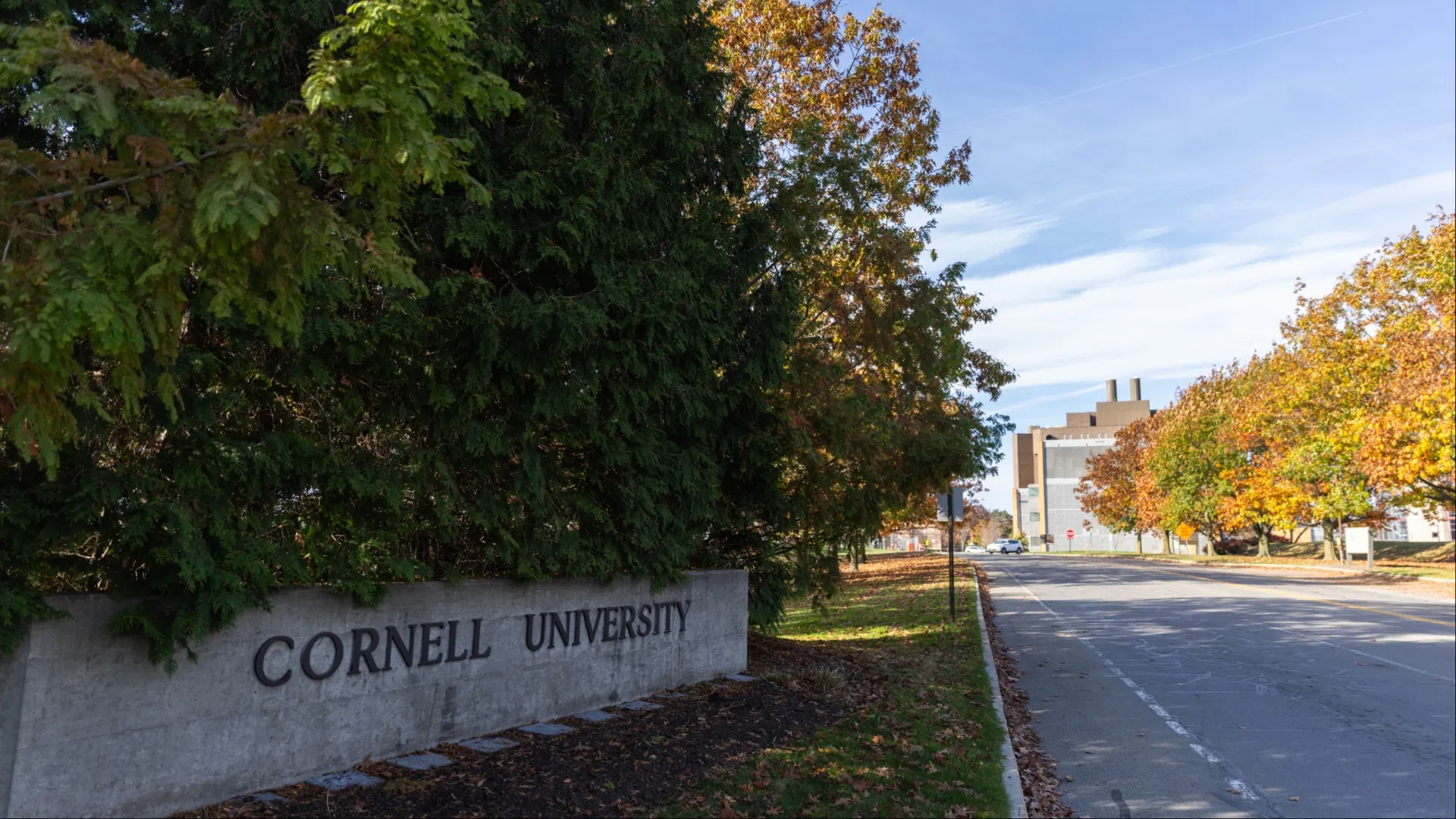 Cornell University former student 7 seven Chi Pi fraternity rape sexual assault lawsuit
