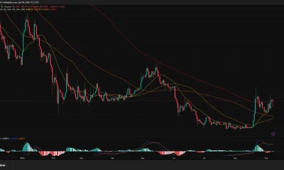 Dogecoin daily chart shows DOGE holding near $0.090 above its key moving averages as the MACD remains slightly bullish.