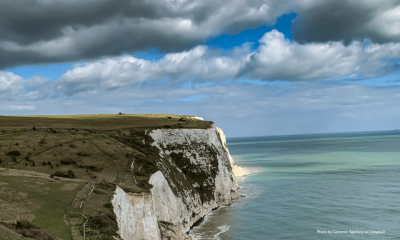 Associate Membership: What might work across the Atlantic is unlikely to work across the Channel