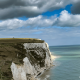 Associate Membership: What might work across the Atlantic is unlikely to work across the Channel