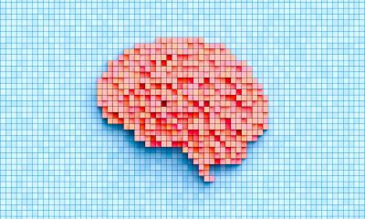 Personality Is Linked to Genes, New Study Finds