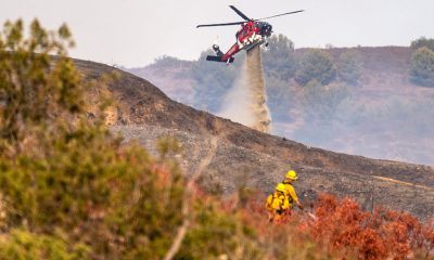 The U.S. Is Having One of Its Most Active Wildfire Seasons. Here’s How the Costs Are Adding Up