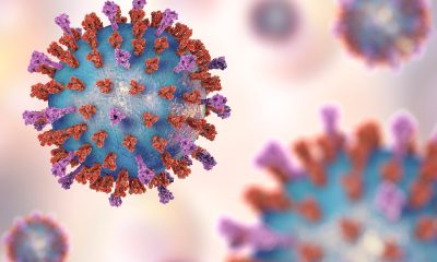 RSV Vaccines Are Highly Effective in Older Adults