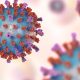 RSV Vaccines Are Highly Effective in Older Adults