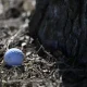 GolfBall.webp