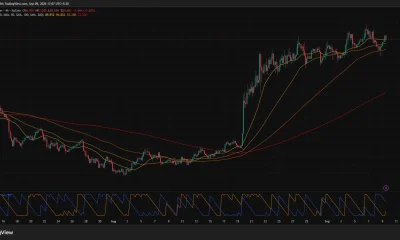 Hyperliquid daily chart shows HYPE consolidating near $85.84 below $90 resistance as RSI cools and MACD turns bearish.