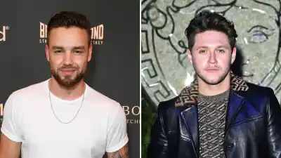 Liam Payne and Niall Horan friendship timeline