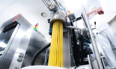 Increase protein levels in pasta with enzymes