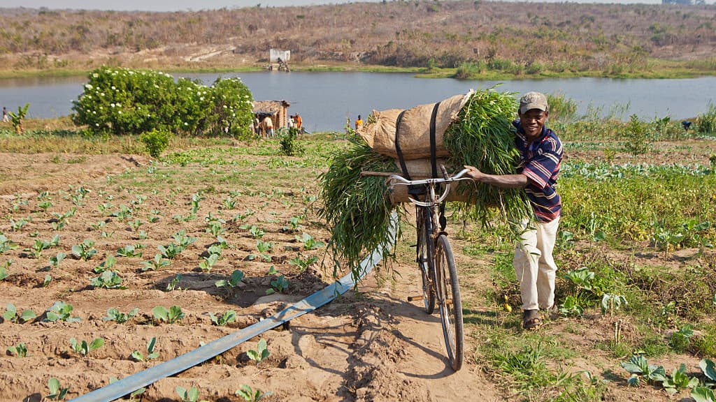 Will Africa's Next Growth Story Start on the Farm?