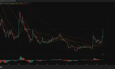 PEPE daily chart shows a 24.75% surge to $0.00000499, breaking above its 20-, 50-, 100- and 200-day moving averages.