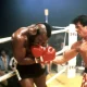 Rocky-III-MSDROTH_EC012