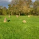 Anger after gym group uses protected rocks at national park | News UK