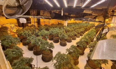 Police discover cannabis grow house hidden in old BHS store