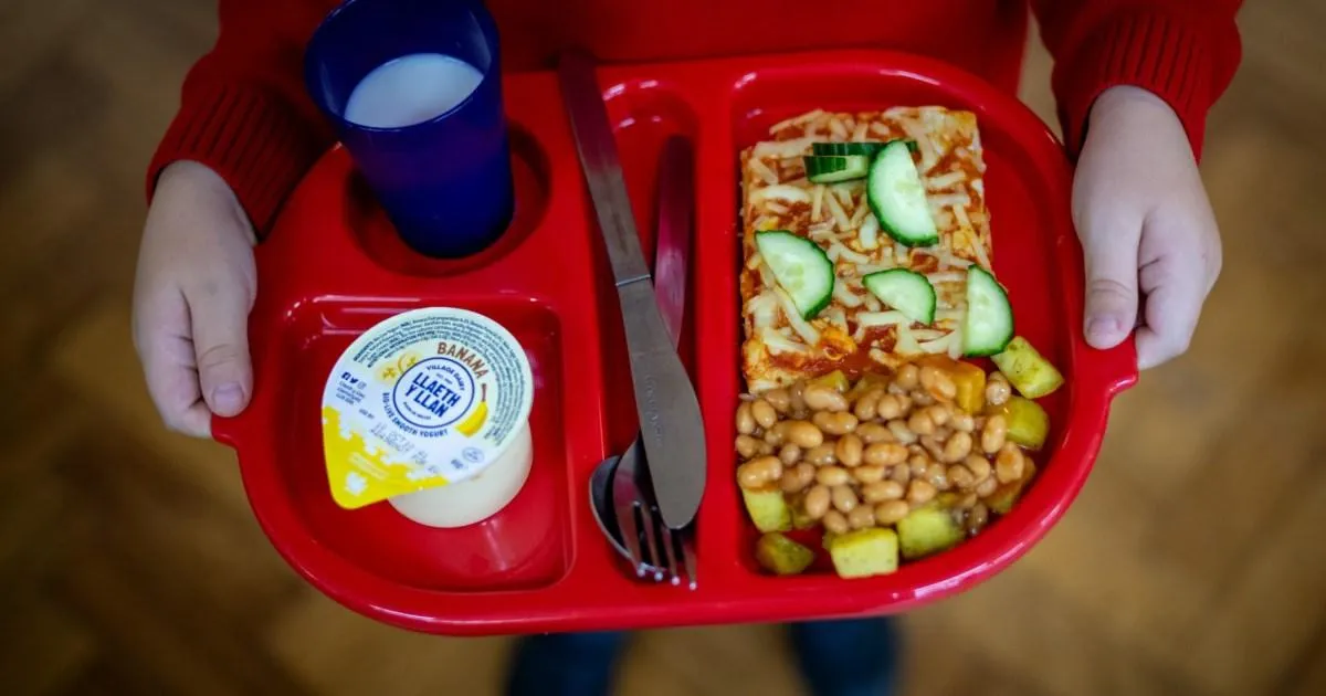Schools introduce more food rules decades after Turkey Twizzlers ban | News UK
