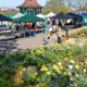 The 'charming' London neighbourhood with a community vibe and cheaper rent