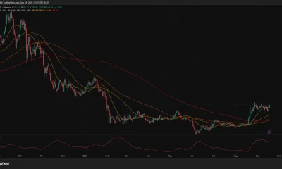 Solana daily chart shows SOL at $105.89 above its key moving averages, with ADX at 41.91 signaling a strong trend.