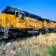 Union Pacific Gets Buy Rating. High Fuel Costs Make It Attractive Shipping Option.