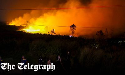 Indonesia wildfires trigger 50,000 respiratory infections