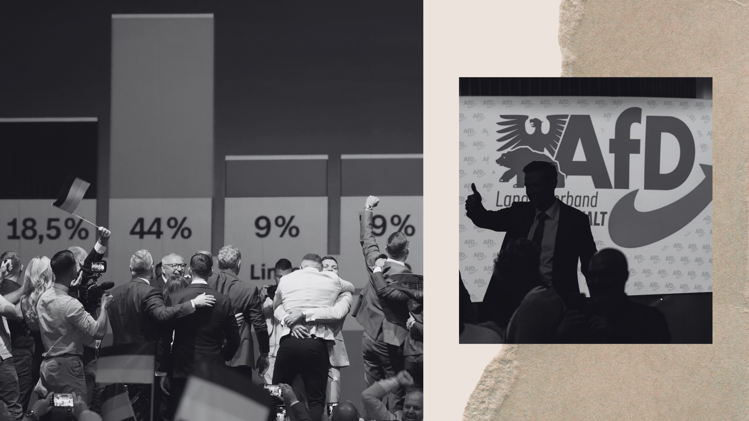 The AfD's Dark Agenda for Germany