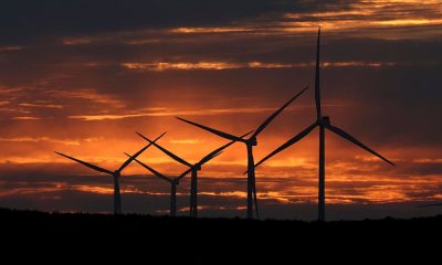 Everyone's Still Talking About Climate Change, Actually