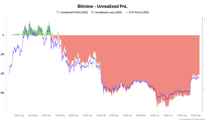 BitMine ETH Unrealized Losses.