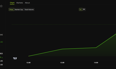 Notional Finance&nbsp;(NOTE) Price Performance. Source: BeInCrypto