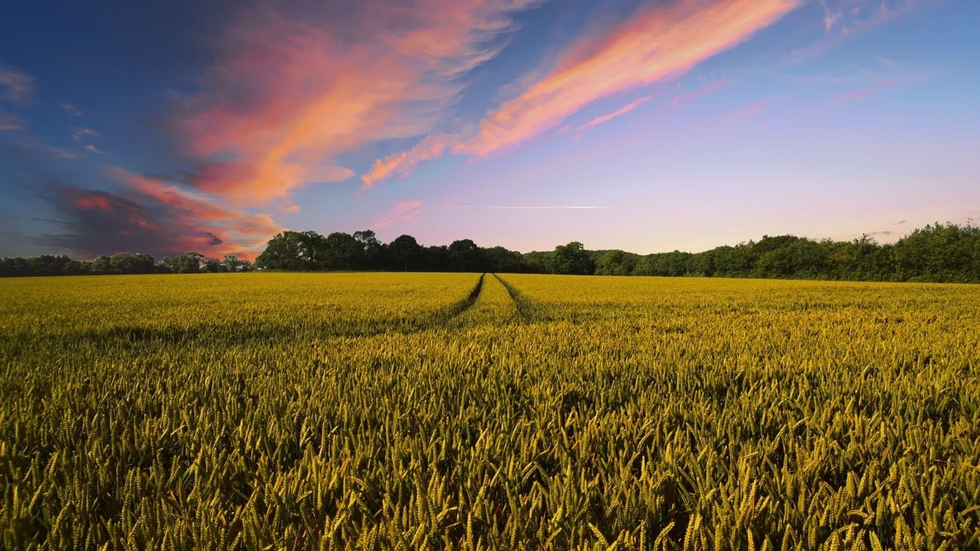 Indian agri warehouse giant is putting $2 billion in grain-backed loans onchain