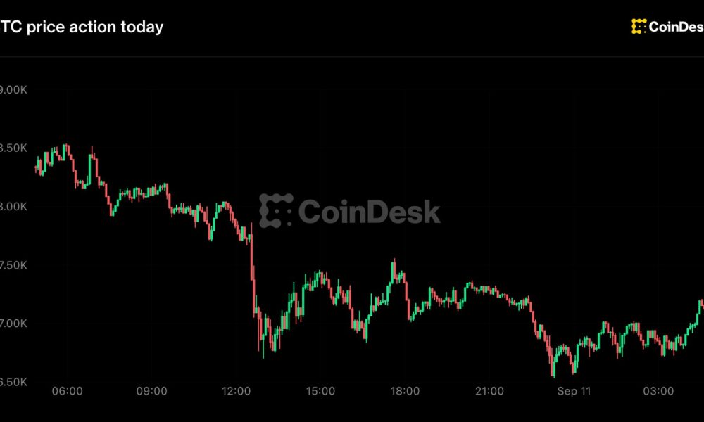 Bitcoin below $77,000, Zcash leads losses as traders bet on a Fed rate hike