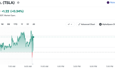 Tesla (TSLA) Stock Performance. Source: Yahoo Finance